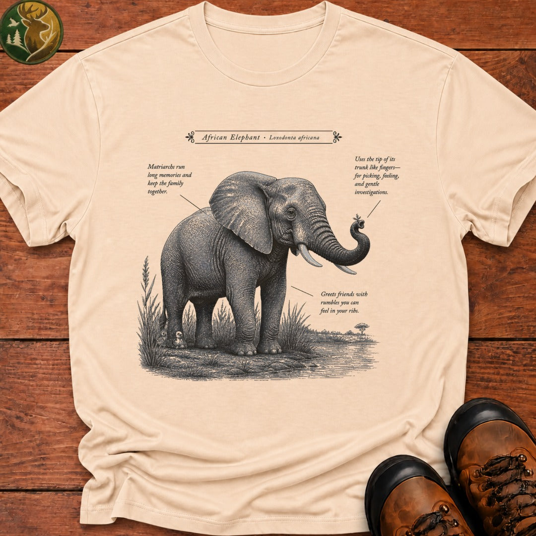 African Elephant Field Guide T Shirt - Ivory
