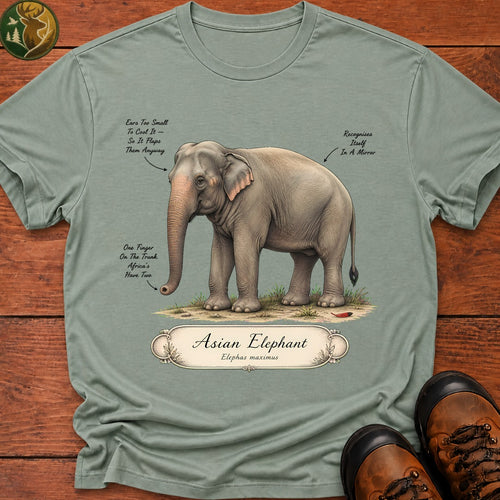 Asian Elephant Field Guide T-Shirt - Bay