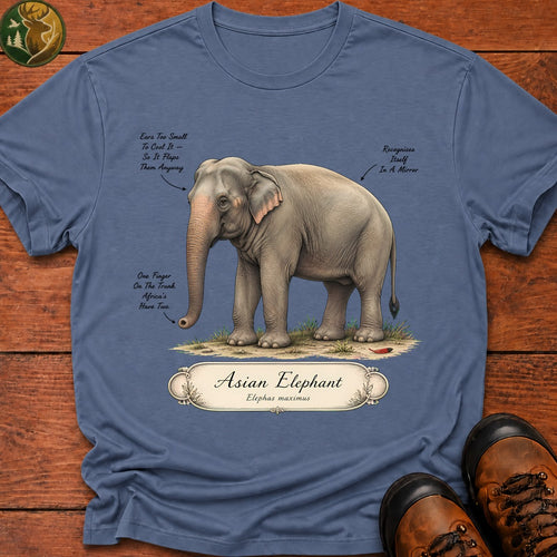 Asian Elephant Field Guide T-Shirt - Blue Jean