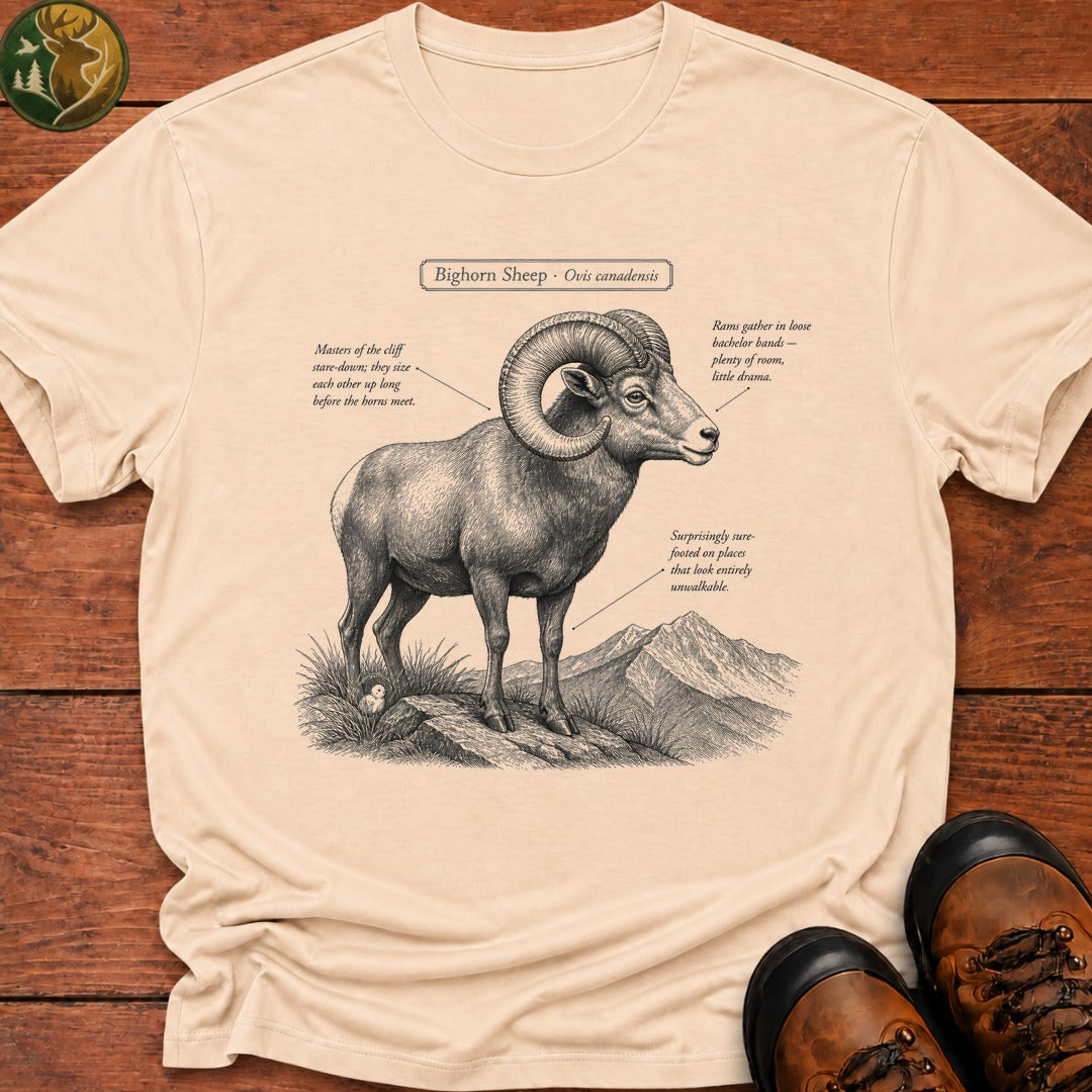 Bighorn Sheep Field Guide Sketch T-Shirt - Ivory