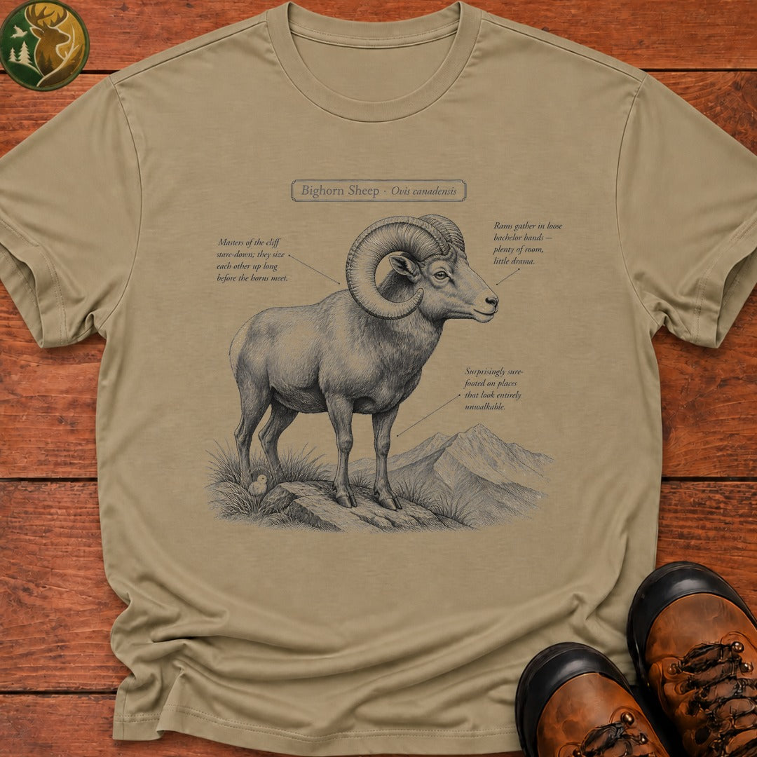 Bighorn Sheep Field Guide Sketch T-Shirt - Khaki