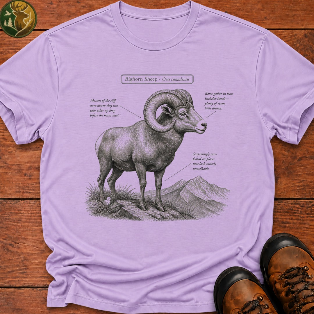Bighorn Sheep Field Guide Sketch T-Shirt - Orchid