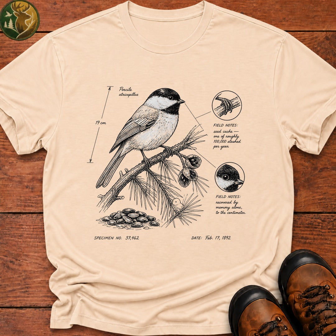 Black Capped Chickadee Field Sketch T Shirt - Ivory