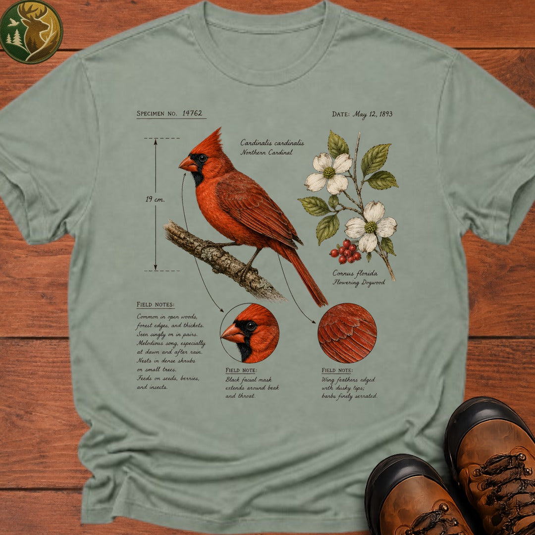 Cardinal Field Notes T Shirt - Bay