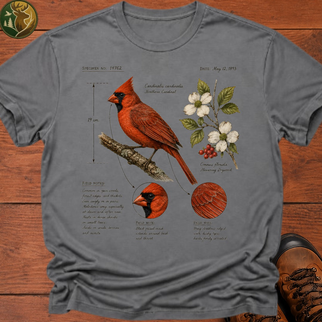 Cardinal Field Notes T Shirt - Grey