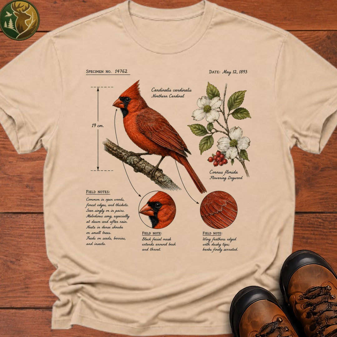 Cardinal Field Notes T Shirt - Ivory