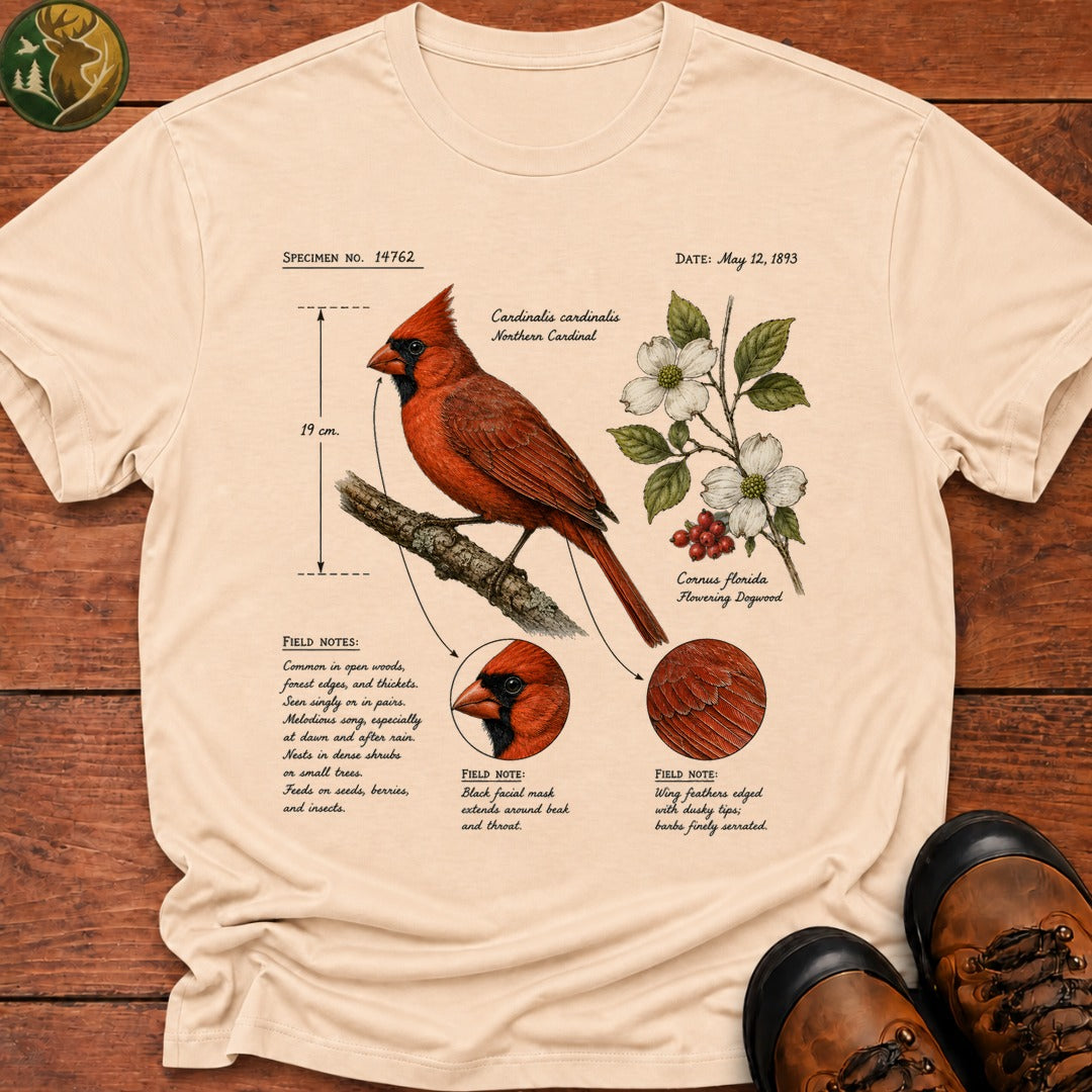 Cardinal Field Notes T Shirt - Ivory