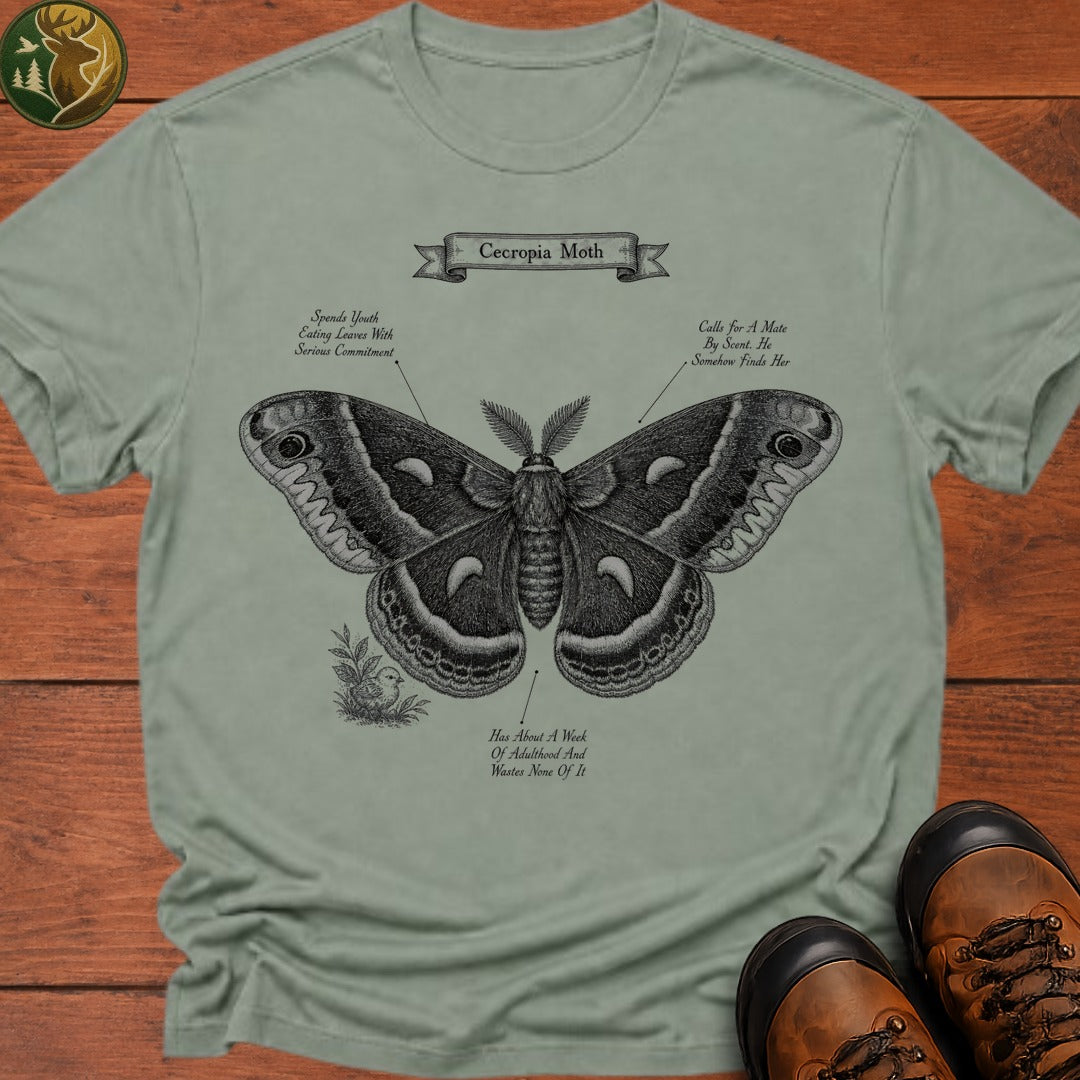 Cecropia Moth T Shirt - Bay