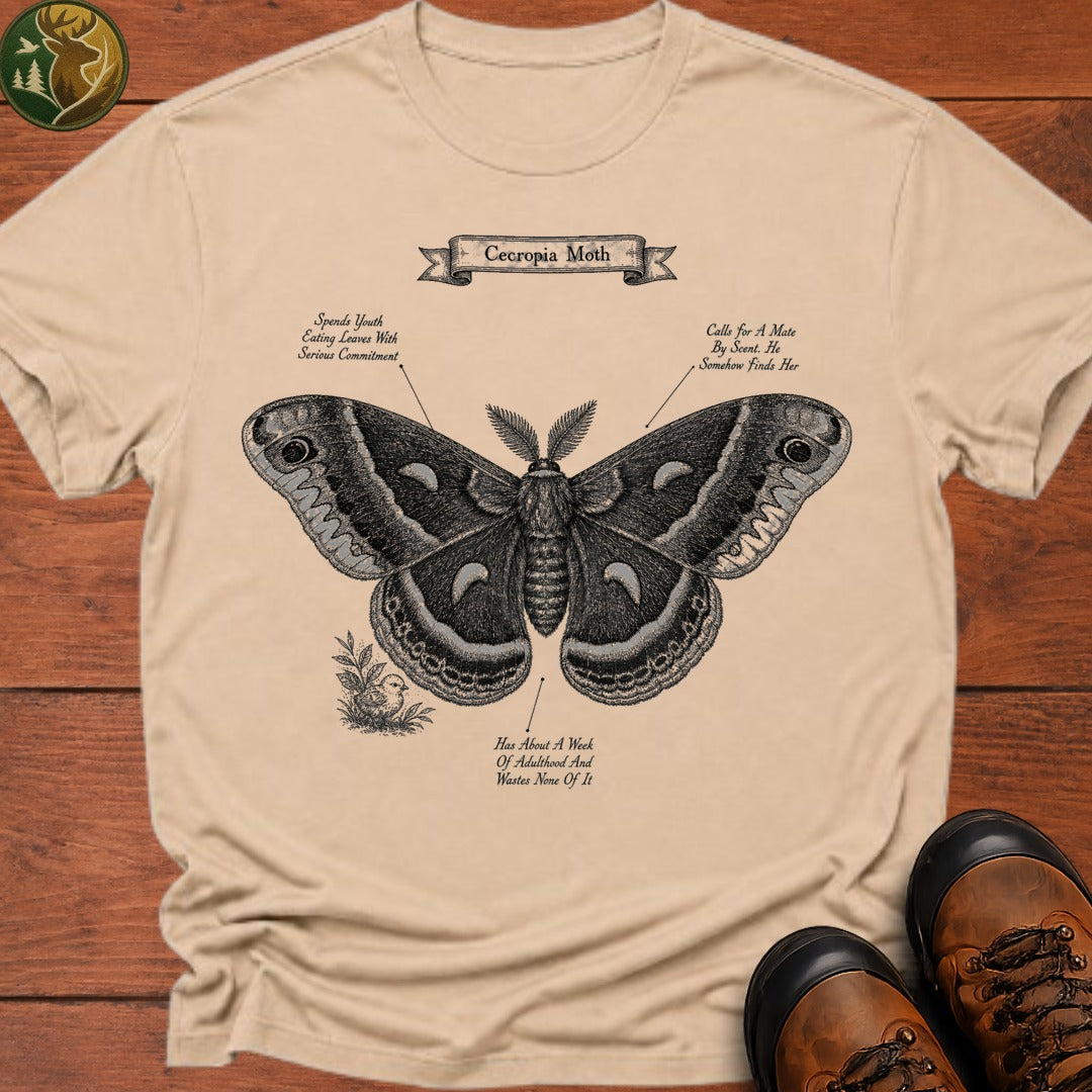 Cecropia Moth T Shirt - Ivory