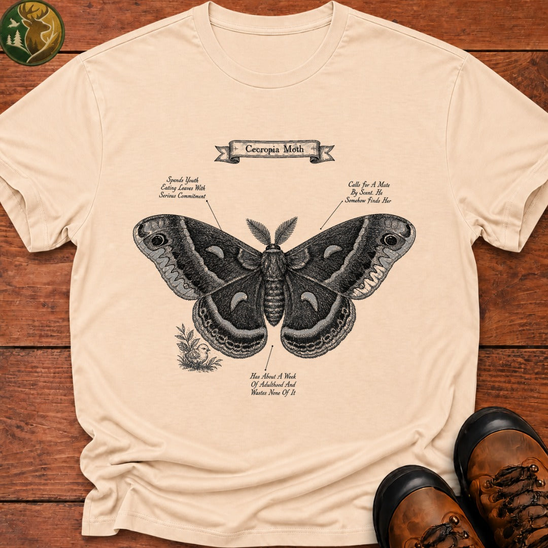 Cecropia Moth T Shirt - Ivory