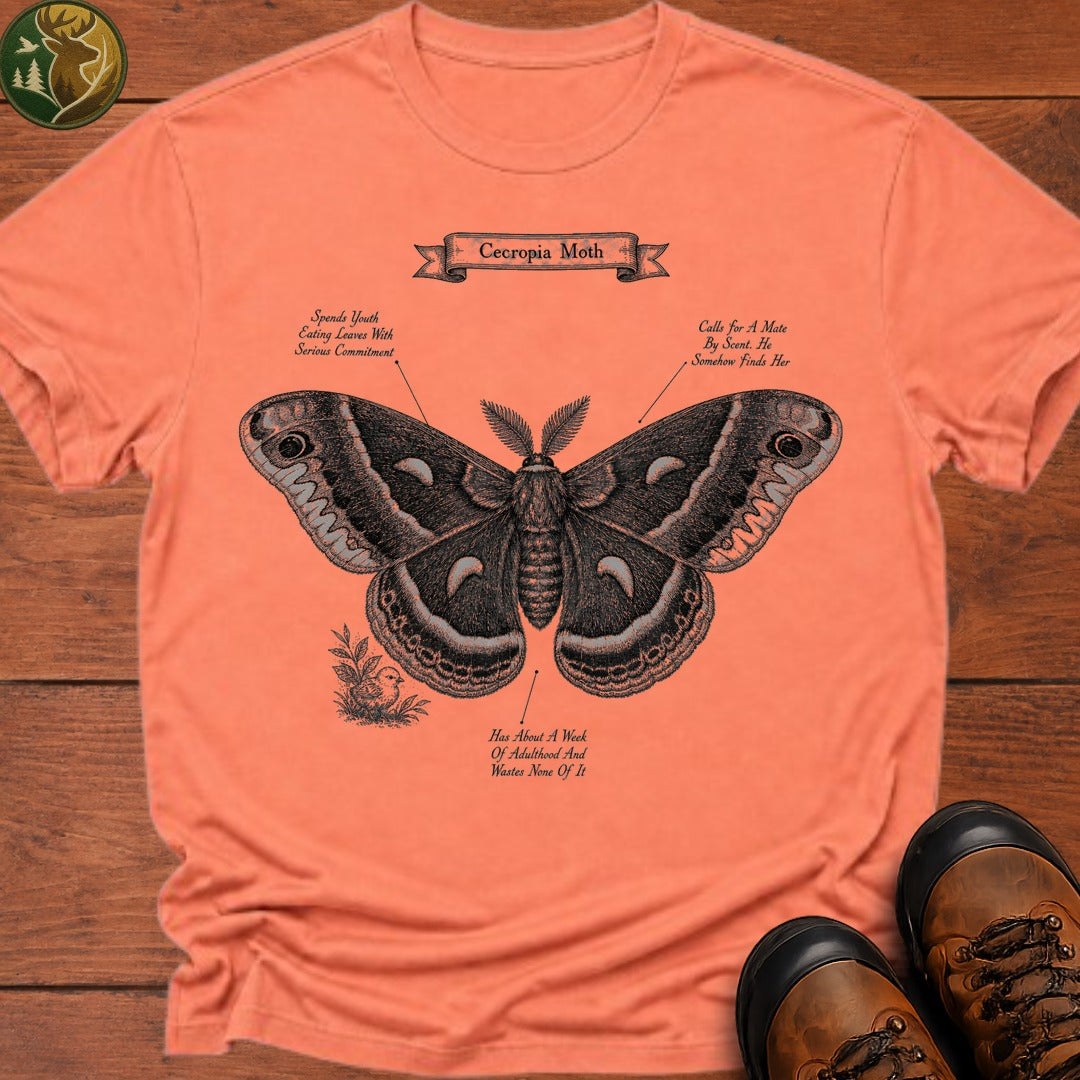 Cecropia Moth T Shirt - Melon