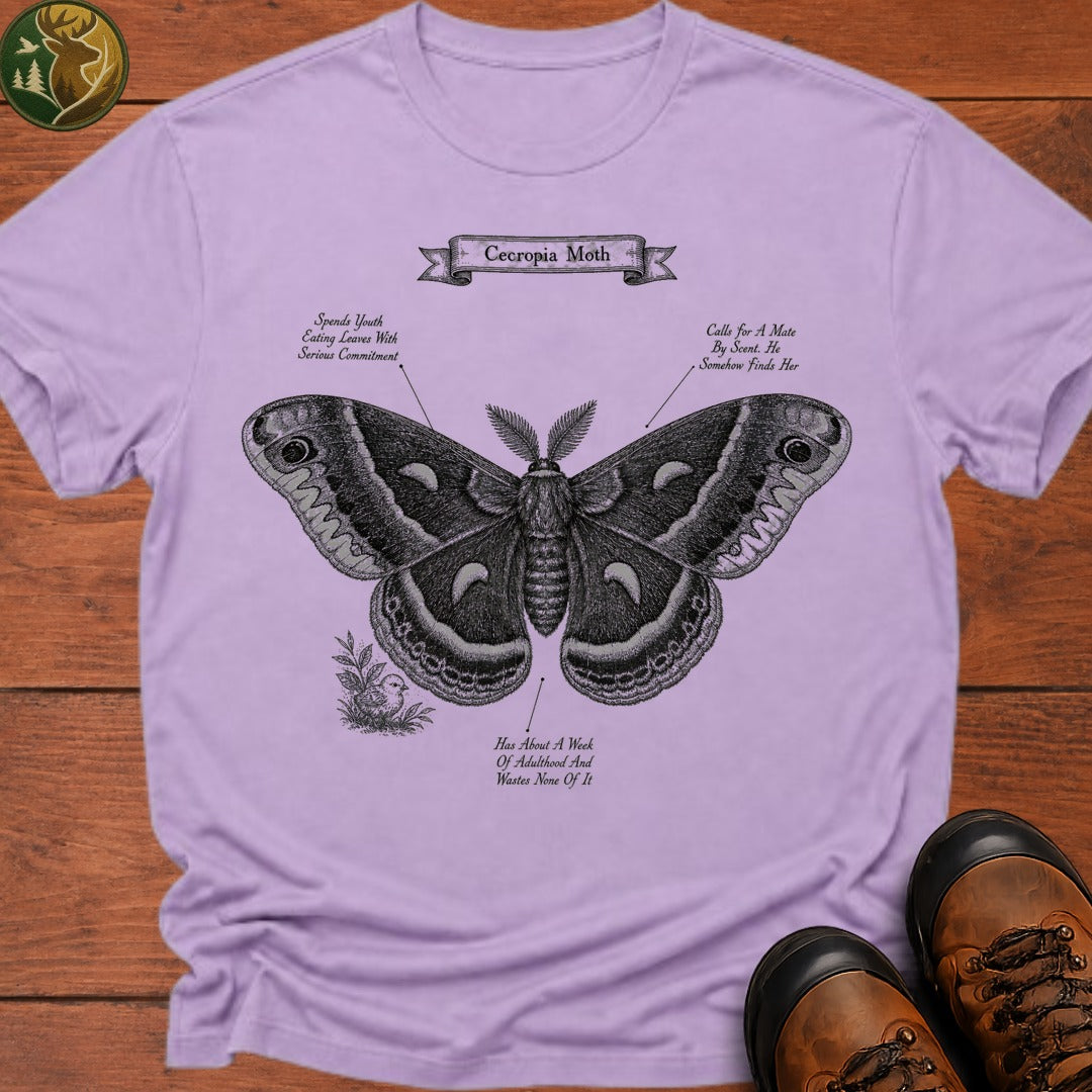 Cecropia Moth T Shirt - Orchid