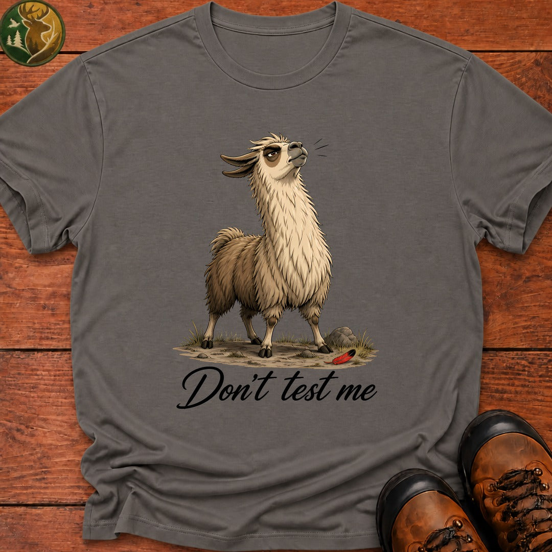 Don'T Test Me T-Shirt - Grey