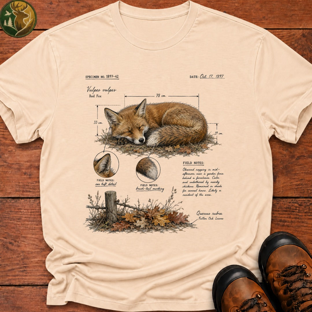 Fox Field Notes Color T Shirt - Ivory