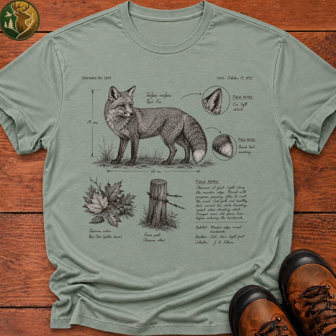 Fox Field Notes T Shirt - Bay