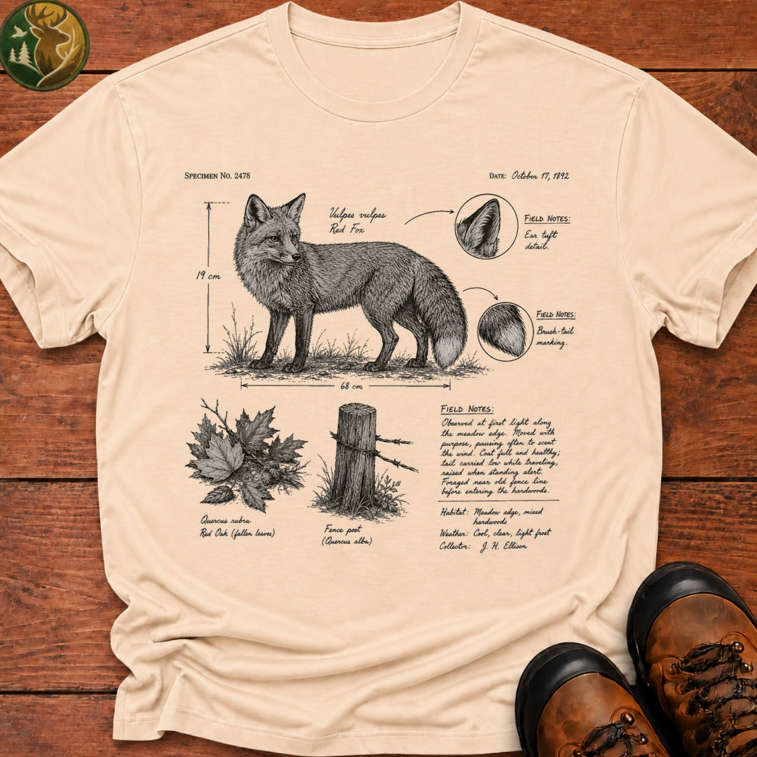 Fox Field Notes T Shirt - Ivory