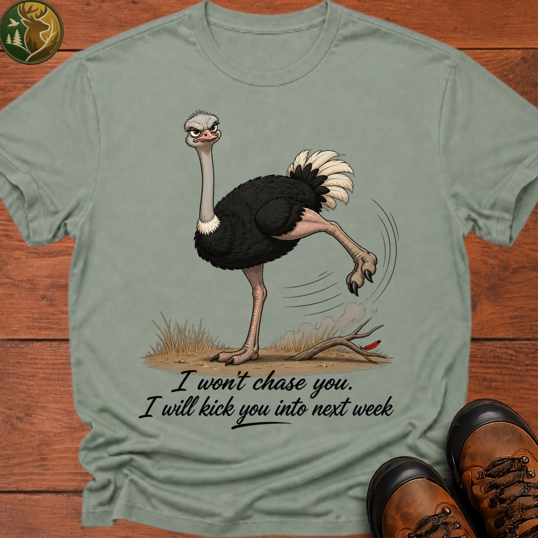 I Will Kick You T Shirt - Bay
