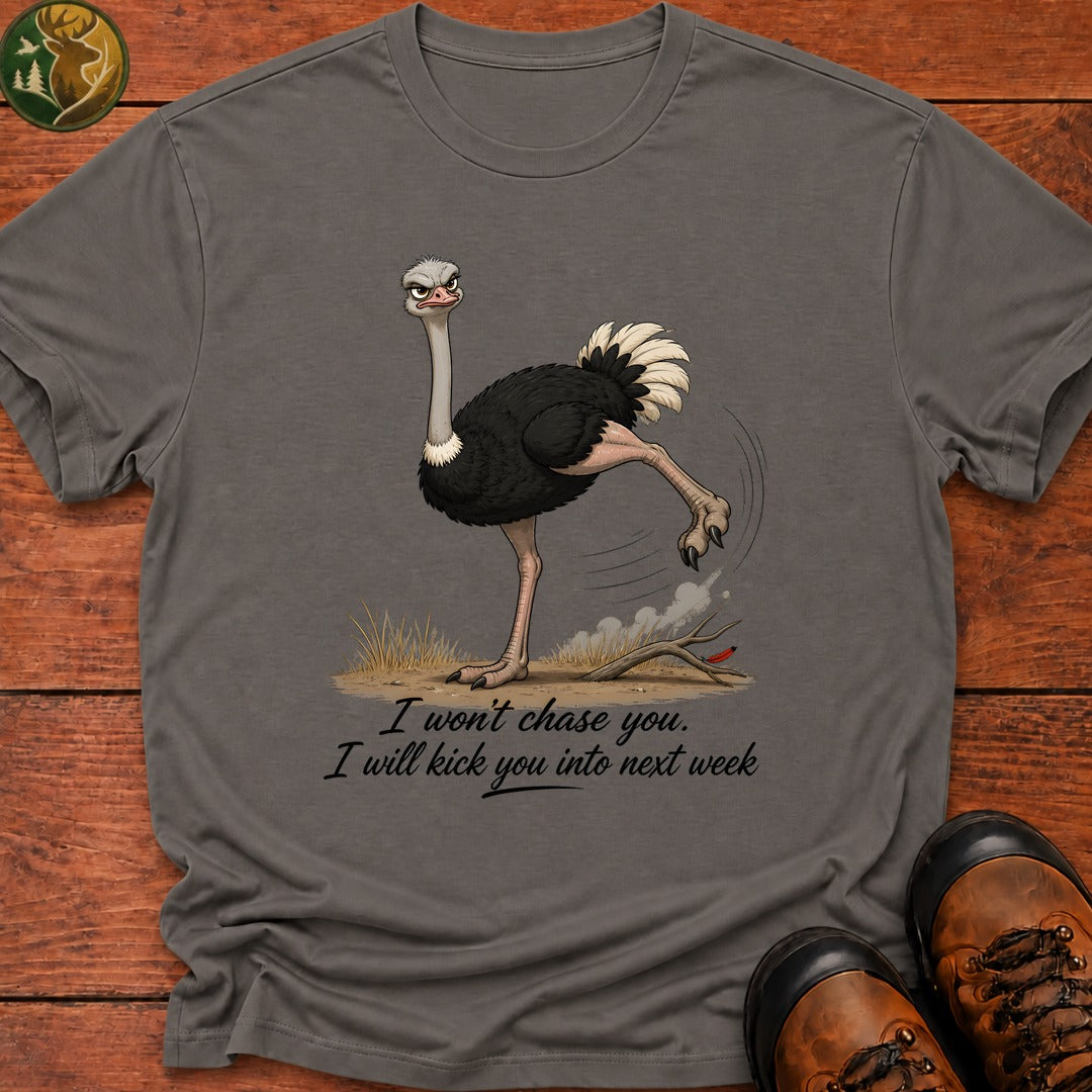 I Will Kick You T Shirt - Grey
