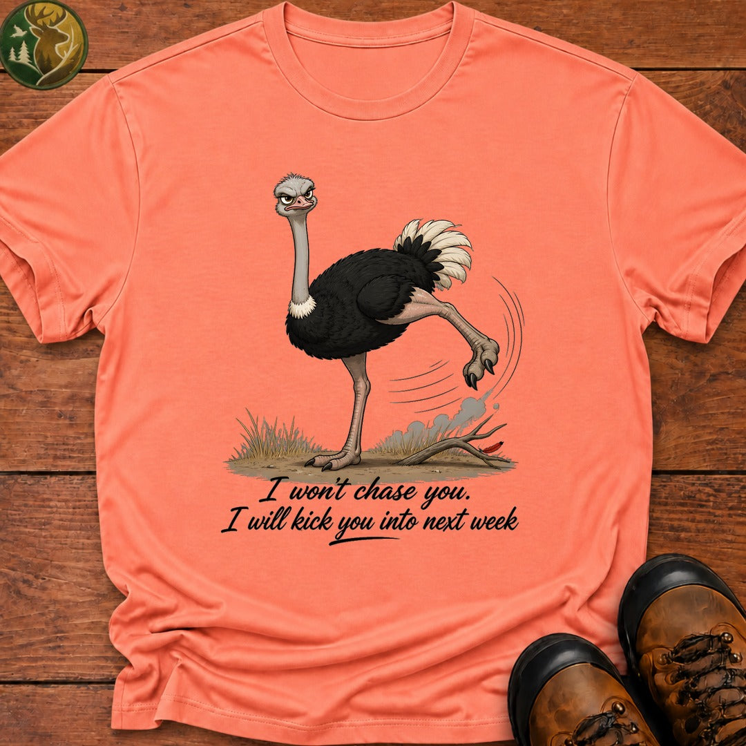 I Will Kick You T Shirt - Melon