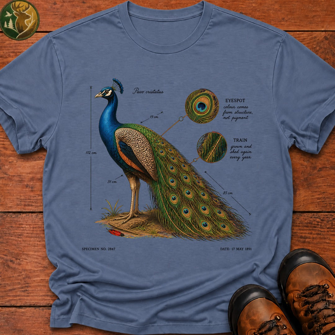 Indian Peafowl (Male) T-Shirt - Blue Jean