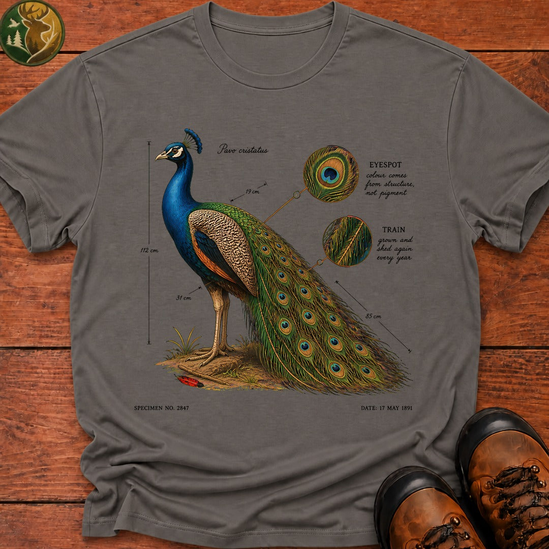 Indian Peafowl (Male) T-Shirt - Grey