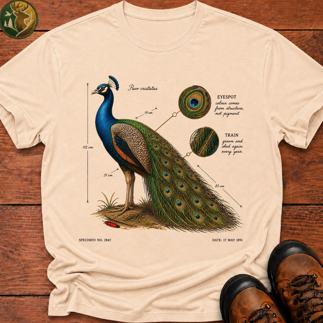 Indian Peafowl (Male) T-Shirt - Ivory