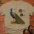Indian Peafowl (Male) T-Shirt - Khaki