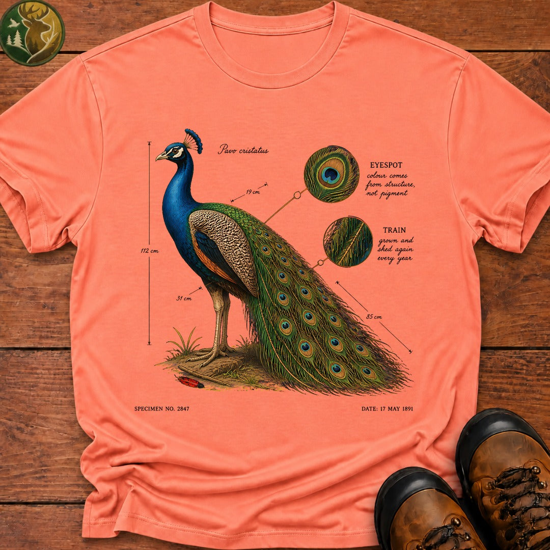 Indian Peafowl (Male) T-Shirt - Melon