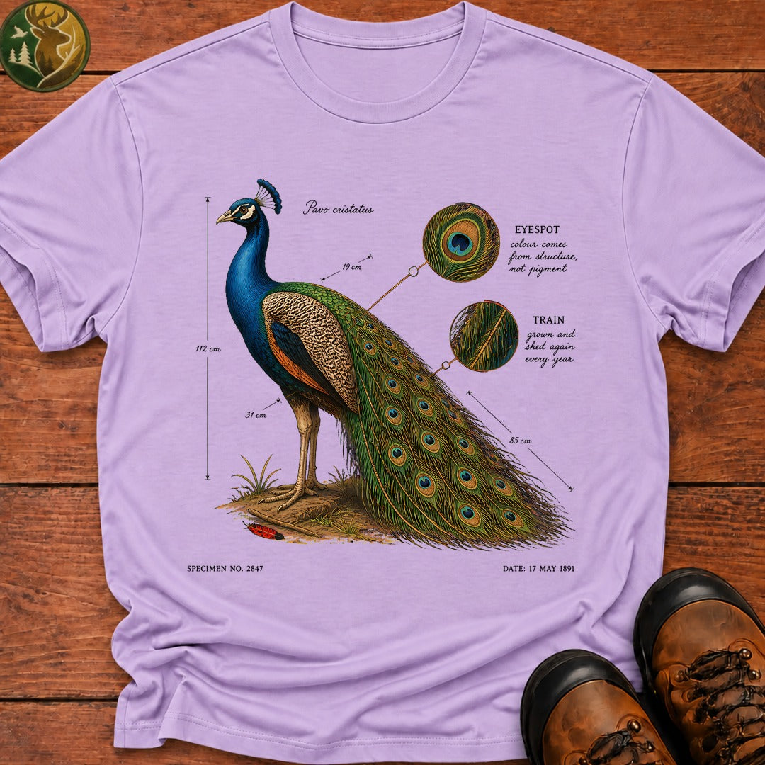 Indian Peafowl (Male) T-Shirt - Orchid