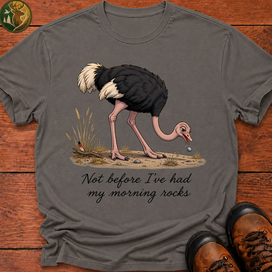Morning Rocks T Shirt - Grey
