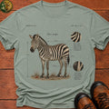 Plains Zebra Field Notes - Bay