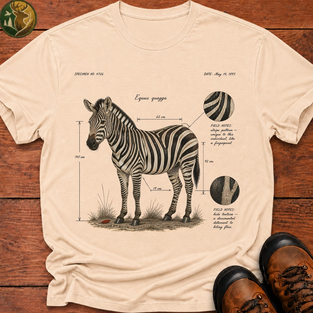 Plains Zebra Field Notes - Ivory