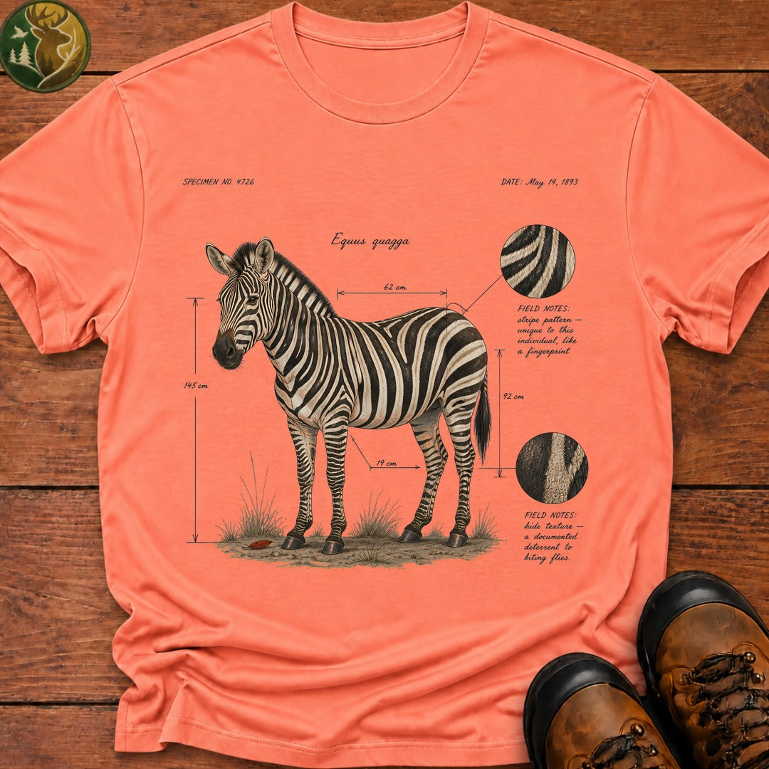 Plains Zebra Field Notes - Melon
