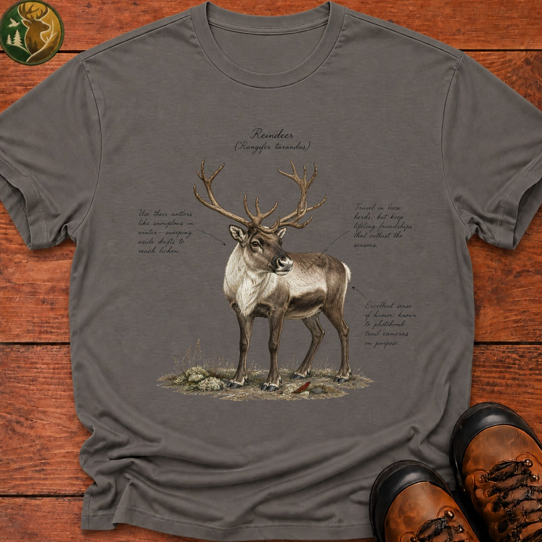 Reindeer Field Guide T-Shirt - Grey