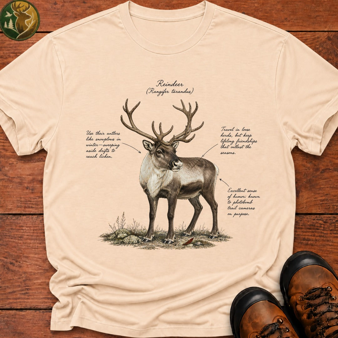 Reindeer Field Guide T-Shirt - Ivory